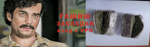 хмурый Алексин