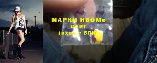 хмурый Алексин