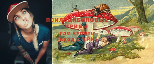 бошки Пестово