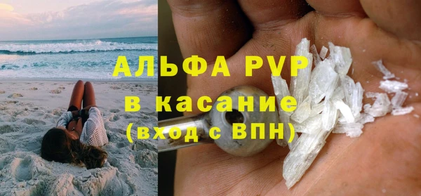 хмурый Алексин